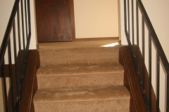 carpet01