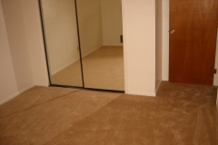 carpet02