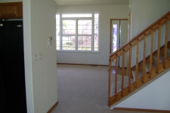 carpet04