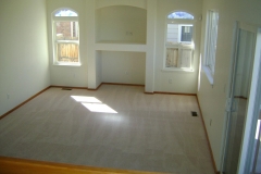 carpet05